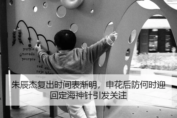 朱辰杰复出时间表渐明,申花后防何时迎回定海神针引发关注