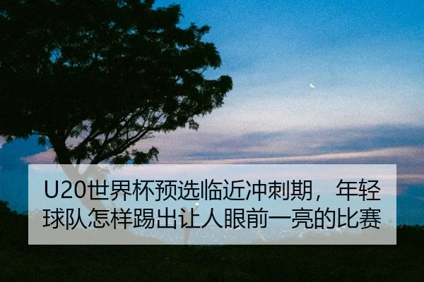 shi-jie-bei-yu-xuan-lin-jin-chong-ci-qi-nian-qing-qiu-dui-zen-yang-ti-chu-rang-ren-yan-qian-yi-liang-de-bi-sai-2-779.jpg